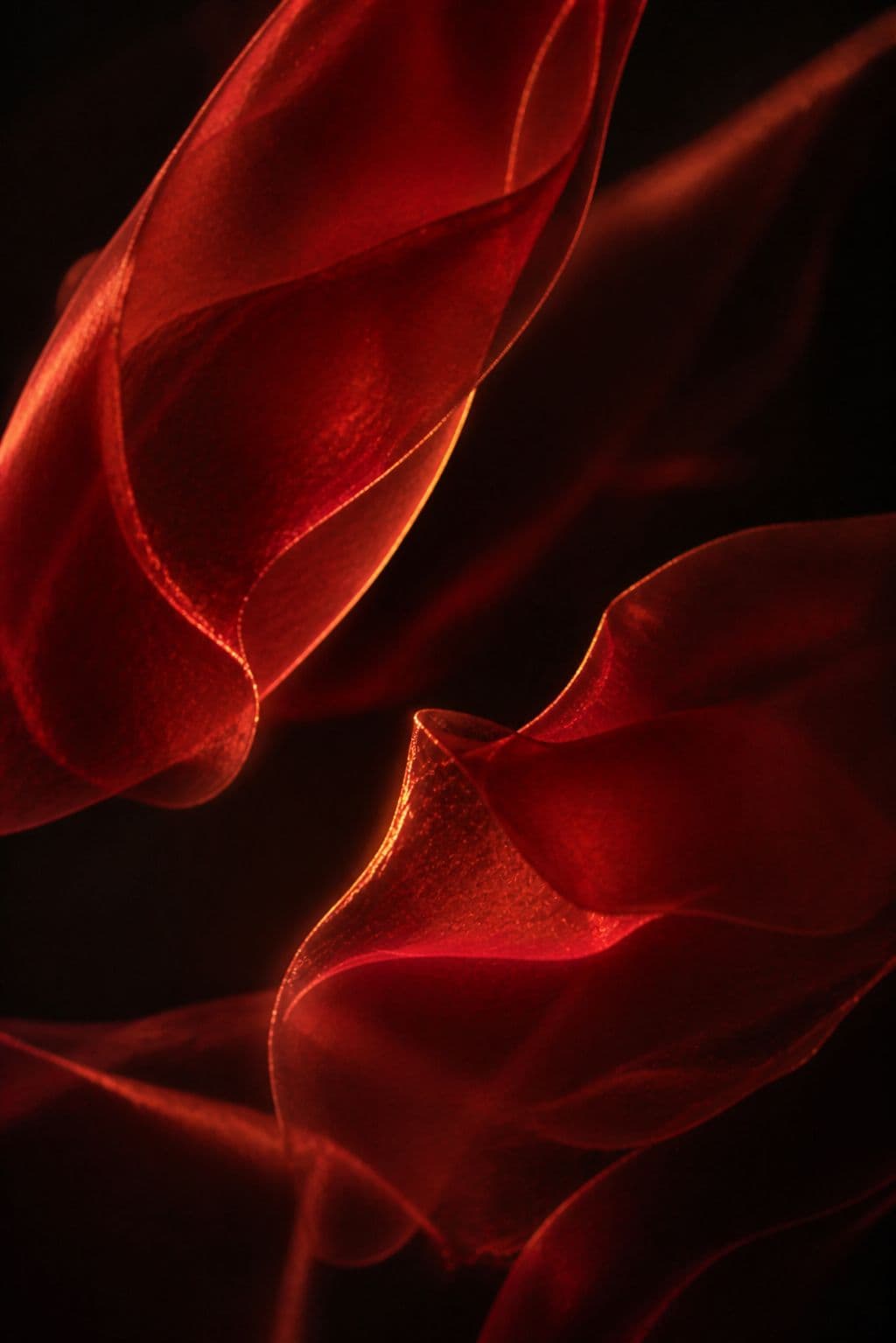 Abstract macro of translucent red silk folds