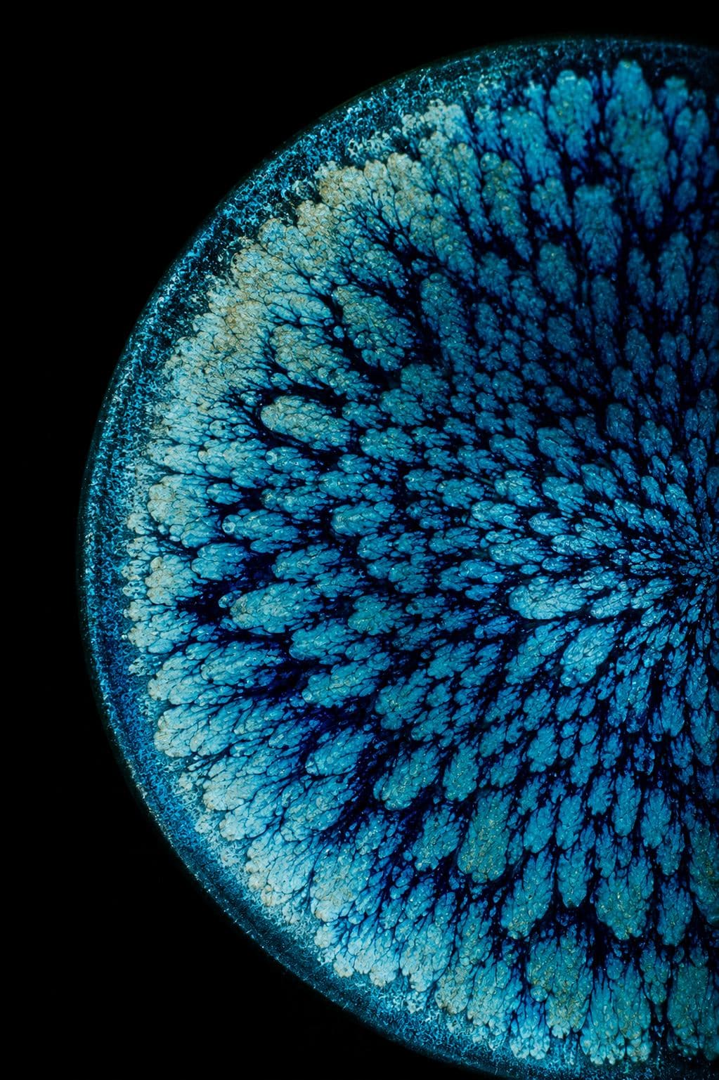 A close-up of a blue crystalline geode against a black background